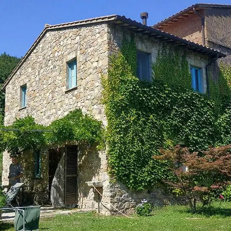 Panoramic Among Vineyards In *