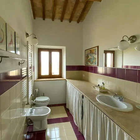 Panoramic Among Vineyards In