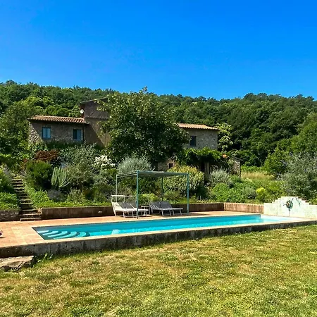 Panoramic Among Vineyards In *