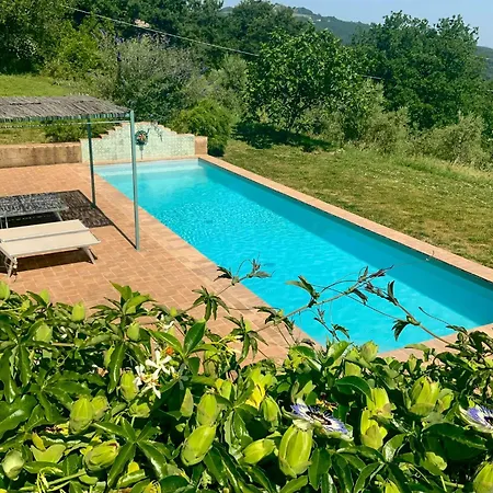 Dom wakacyjny Panoramic Among Vineyards In