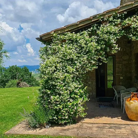 Panoramic Among Vineyards In * Orvieto